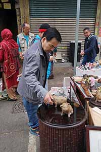 A man examining ceramic pigs on sale in a street market, Ki Lung Street, Sham Shui Po, 5 February 2019