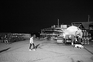 Western District Public Cargo Working Area, 13 March 2019