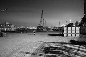 Western District Public Cargo Working Area, 13 March 2019