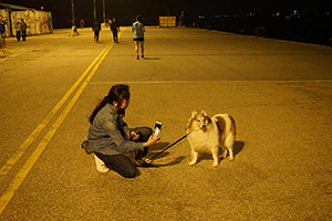 Taking a photo of a dog, Western District Public Cargo Working Area, 13 March 2019