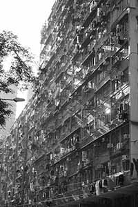 Residential buildings in afternoon light, North Point, 12 March 2019