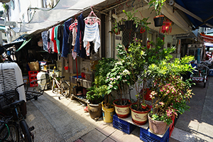 Plants and laundry outside a building, Cheung Chau, 12 May 2019