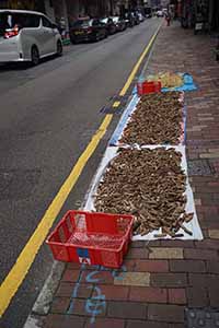 Drying goods on the street, Sheung Wan, 15 May 2019