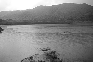 Near Lai Chi Wo, North East New Territories, 26 May 2019