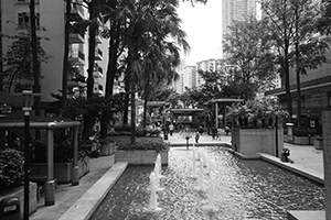 Garden in Mei Foo Sun Chuen, 10 May 2019