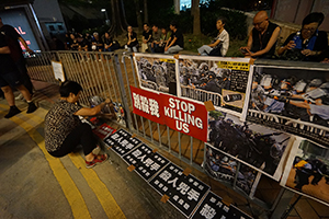 Posters making claims of police brutality, Rodney Street, Admiralty, 16 June 2019