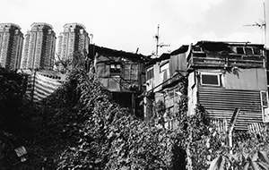 Squatter huts, depopulated and boarded up, Diamond Hill, 30 April 2001