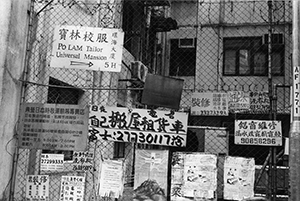 Assorted signs near Austin Avenue, Kowloon, 16 September 2001