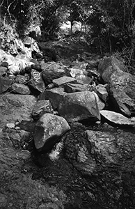 Stream in the Pokfulam Country Park, 31 January 2003