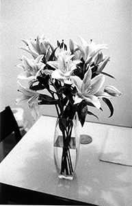 Flowers on a dining table, Queen Street, Sheung Wan, Hong Kong Island, 3 February 2004
