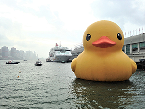 Giant rubber duck, Victoria Harbour, Tsim Sha Tsui, 9 June 2013