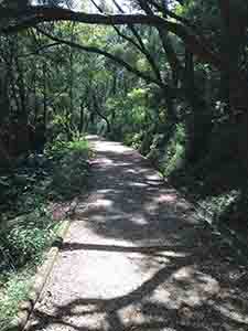 On the Hong Kong Trail, Hong Kong Island, 13 October 2013