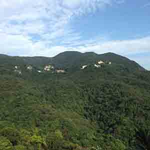 Buildings on a hill, Hong Kong Island, 13 October 2013