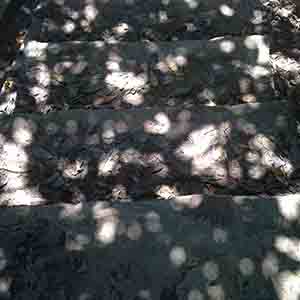 Dappled light on steps, Tai Tam Country Park, 6 October 2013