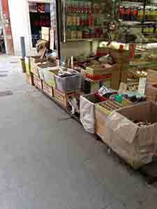 Cat in a dried food shop, Sai Ying Pun, 21 November 2013