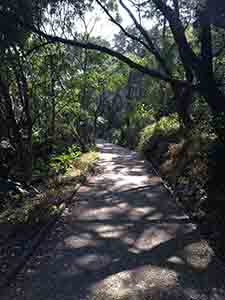 Path with shadows of trees on the Hong Kong Trail, Hong Kong Island, 31 January 2014