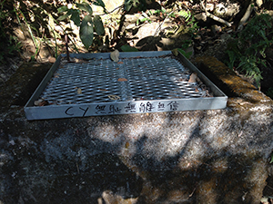 Political graffiti concerning Leung Chun-ying, by the side of the Hong Kong Trail, Pokfulam Country Park, Hong Kong Island, 31 January 2014