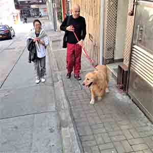 Sara Wong and Warren Leung with their dog, Tai Ping Shan, Hong Kong Island, 23 February 2014
