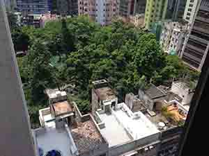 Hollywood Road Park, viewed from above Possession Street, Sheung Wan, 23 July 2014