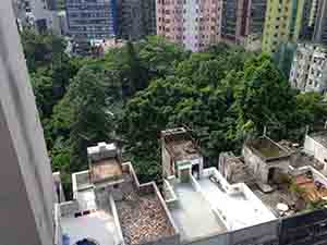 Hollywood Road Park from above, Sheung Wan, 23 July 2014