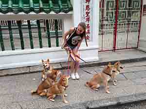 Woman with dogs outside Man Mo temple, Hollywood Road, Hong Kong Island, 26 July 2014