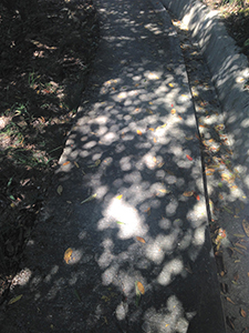Shadows on a path, Tai Tam Country Park, Hong Kong Island, 19 October 2014