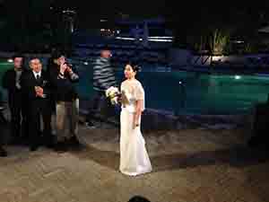 Wedding of Vincent Tancredi and Ko Siu Lan, Grand Hyatt Hong Kong, Wanchai, 8 February 2015