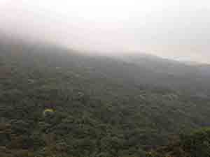 Mist, Ma On Shan Country Park, 15 February 2015