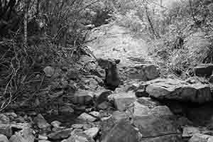 Stream in Pokfulam Country Park, 10 October 2016