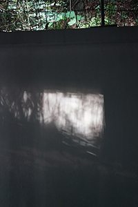 Shadows on a wall, Asia Society Hong Kong Center, Justice Drive, 1 October 2016