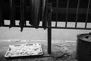 A tray of dried shark fin on the street, Sai Ying Pun, 16 October 2016