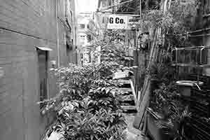 Alleyway, Sai Ying Pun, 16 October 2016