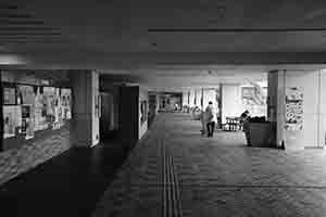 Campus scene, University of Hong Kong, Pokfulam, 18 October 2016
