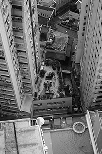 Rooftop garden and rooftop swimming pool, Sheung Wan, 2 October 2016