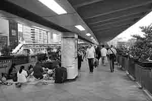 Domestic helpers gathering on their day off on an elevated walkway, Central, 30 October 2016