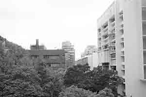 Trees and buildings on the University of Hong Kong campus, Pokfulam, 3 October 2016