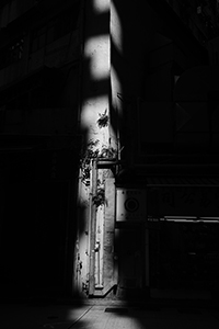 Light through the gap between tall buildings, Ko Shing Street, Sheung Wan, 2 November 2016