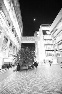 Moonlight: adjacent to the Knowles Building, University of Hong Kong campus, Pokfulam, 7 November 2016