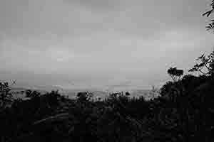 View towards the coast from the Ma On Shan Country Park, 20 November 2016