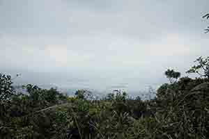 View towards the coast from the Ma On Shan Country Park, 20 November 2016