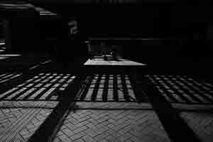Shadow and light on the HKU campus, Pokfulam, 28 November 2016