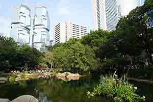 Lake in Hong Kong Park, 6 November 2016