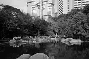 Lake in Hong Kong Park, 6 November 2016