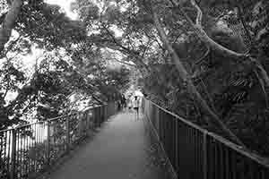 Bowen Road, 6 November 2016