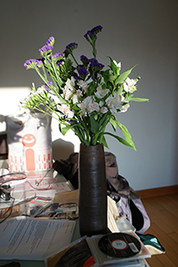 Flowers in a domestic interior, Sheung Wan, 1 December 2016