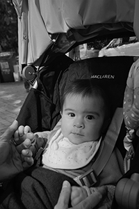 Baby in a stroller, Tai Hang, 18 December 2016