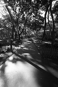 Path in Victoria Park, Causeway Bay, 18 December 2016