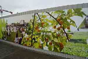 Hoardings around a construction site, West Kowloon Cultural District, 21 December 2016