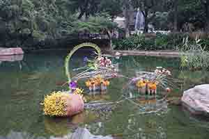 Pond, Hong Kong Park, 4 December 2016