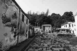 Mural of a pig on the side of a village house, Lo So Shing village, Lamma Island, 8 January 2017